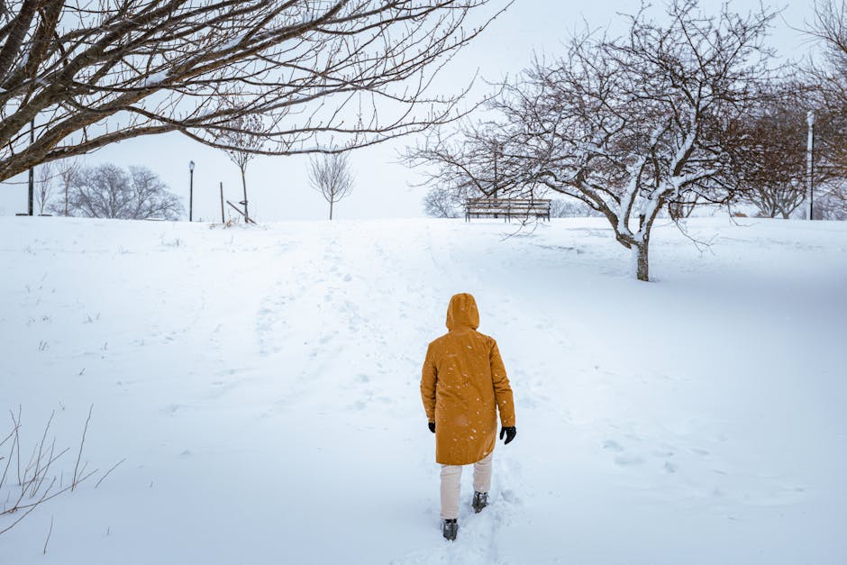 woman winter city park