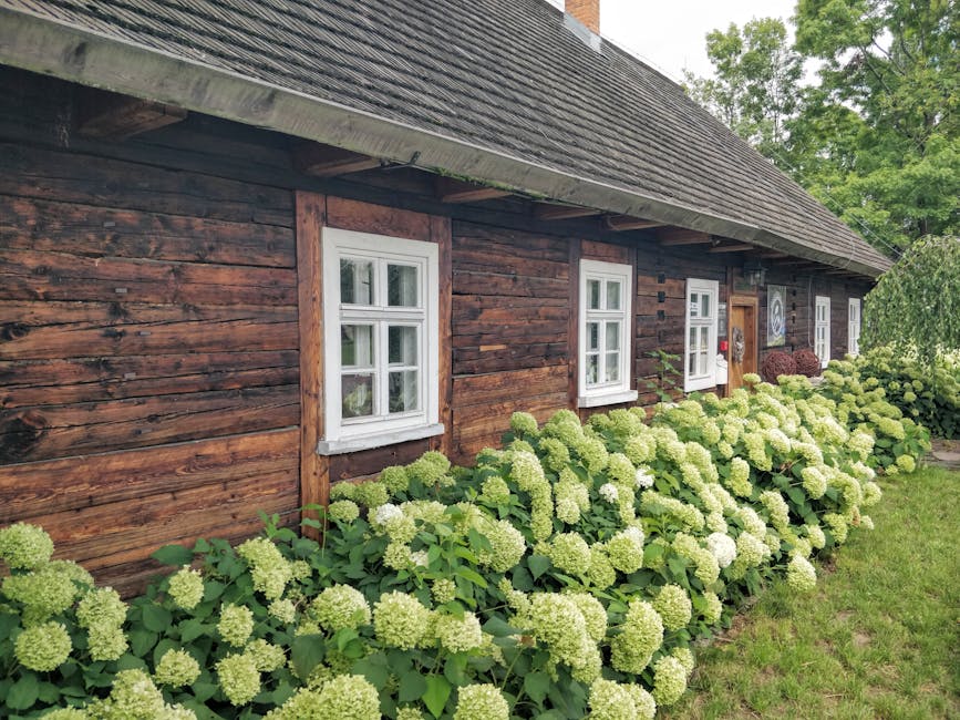 wooden traditional houses in polish village
