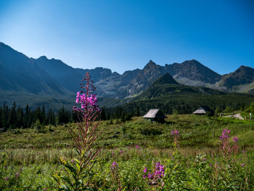zakopane mountains landscape
