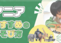 Exploring Premium Japanese Toys and Collectibles with TakaraTomyMall