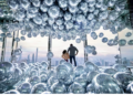 Discover Amazing Adventures Worldwide on GetYourGuide