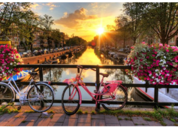 Explore Comfortable International Travel and Flight Deals with LOT