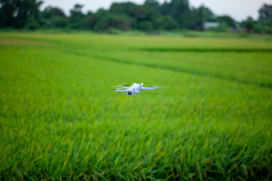 AI agriculture drone monitoring