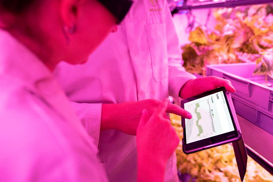 AI powered smart agriculture