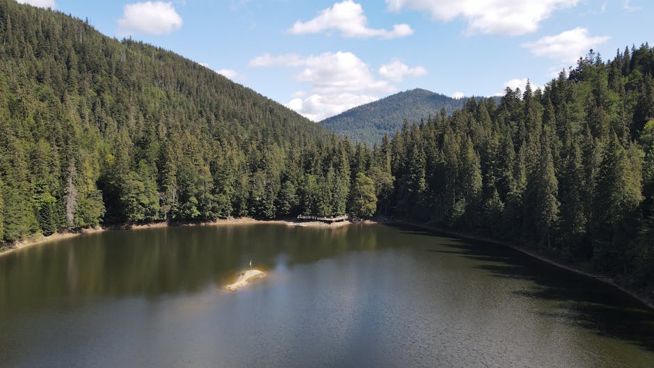 Carpathian mountains autumn lake synevyr