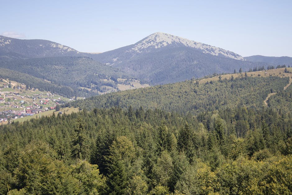 Carpathian mountains Hutsul village