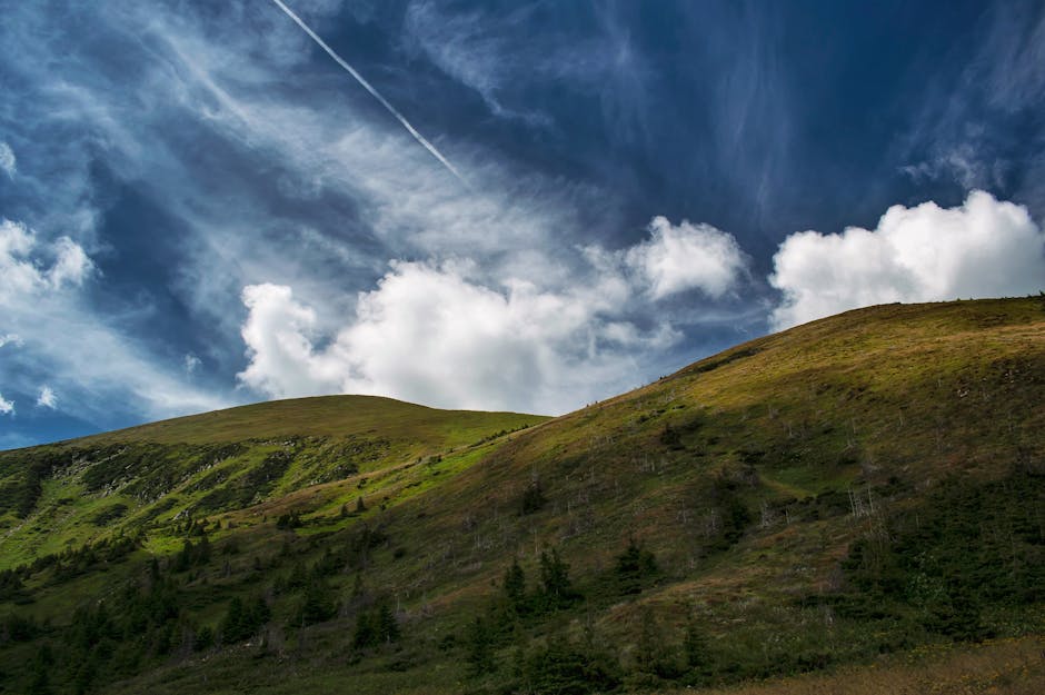 Carpathian mountains landscape summer