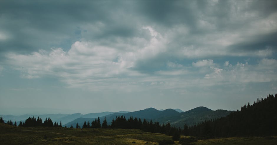 Carpathian mountains rural landscape
