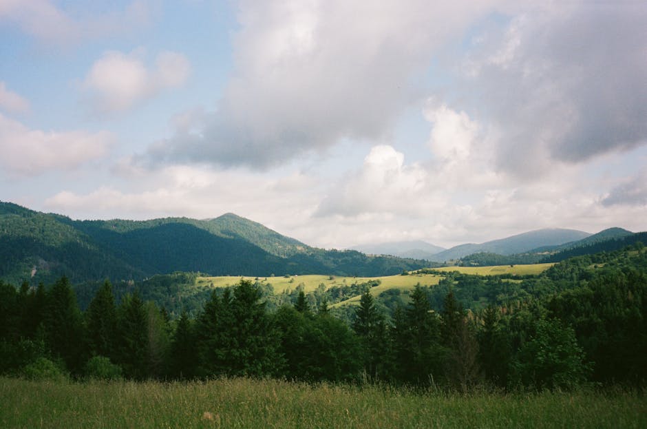 Carpathian mountains summer