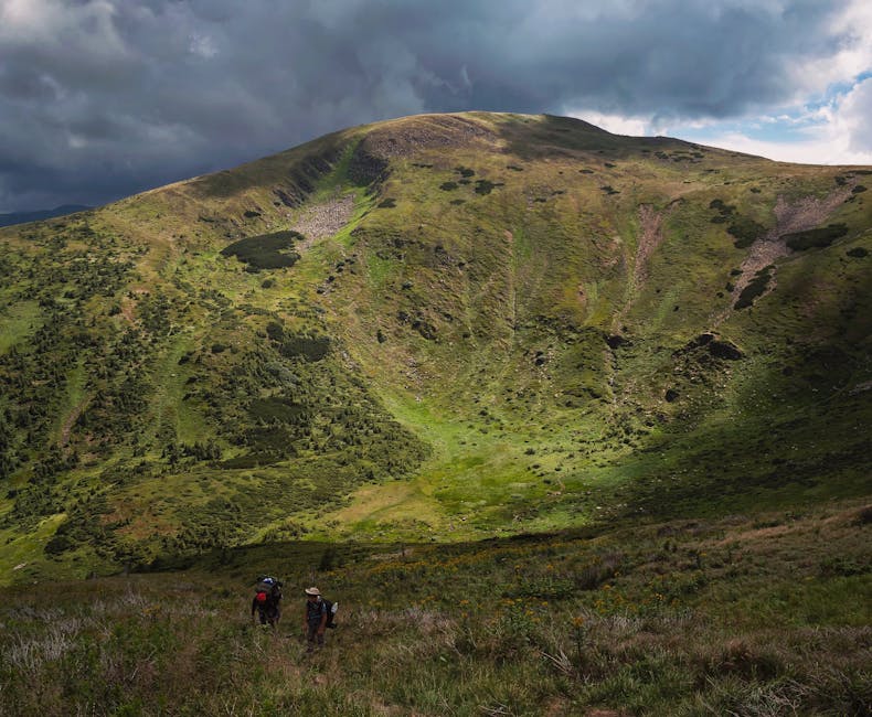 Carpathian mountains summer hiking