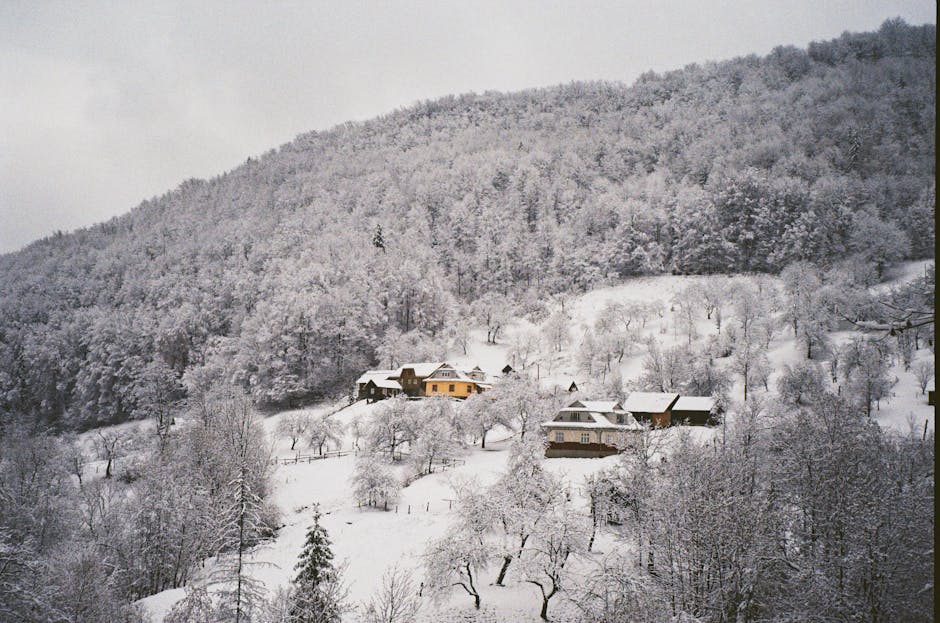 Carpathian village snow ancient church