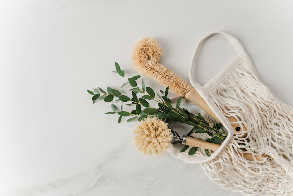 eco-friendly products home
