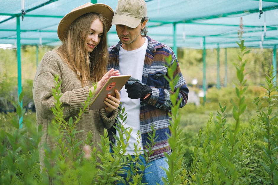 farmer using tablet AI agriculture