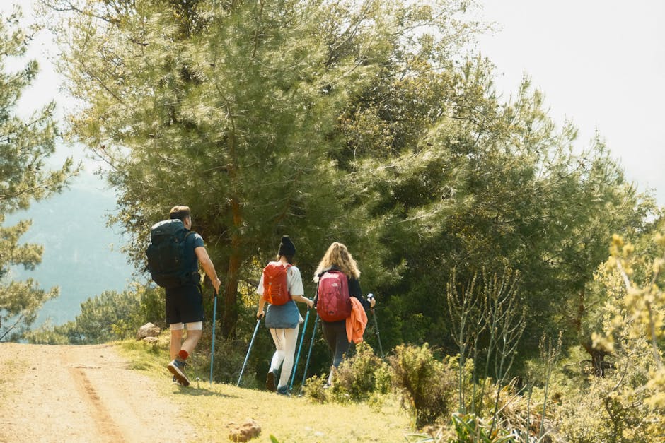friends hiking through a green forest path