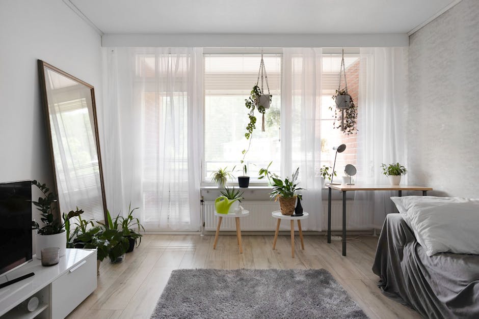 minimalist apartment with plants