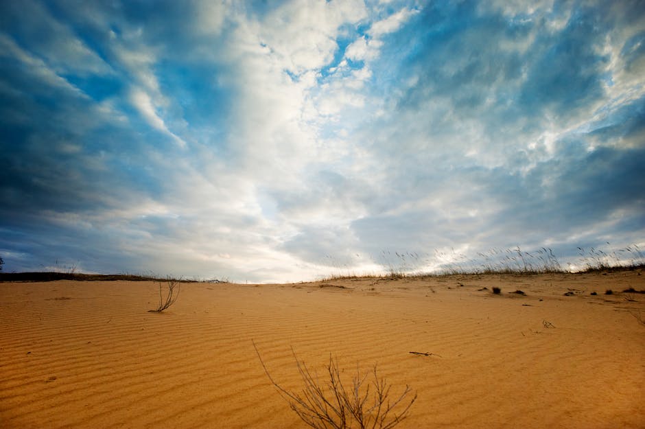 Oleshkivski sands dunes