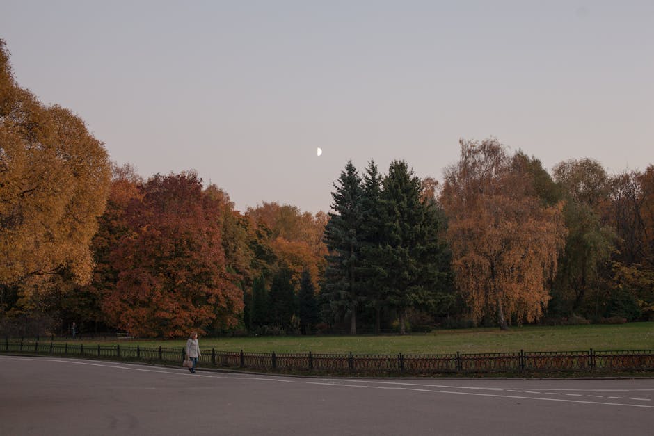 peaceful evening park walk