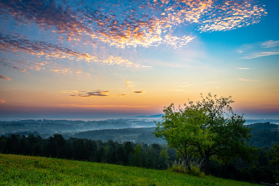 peaceful landscape with sunrise