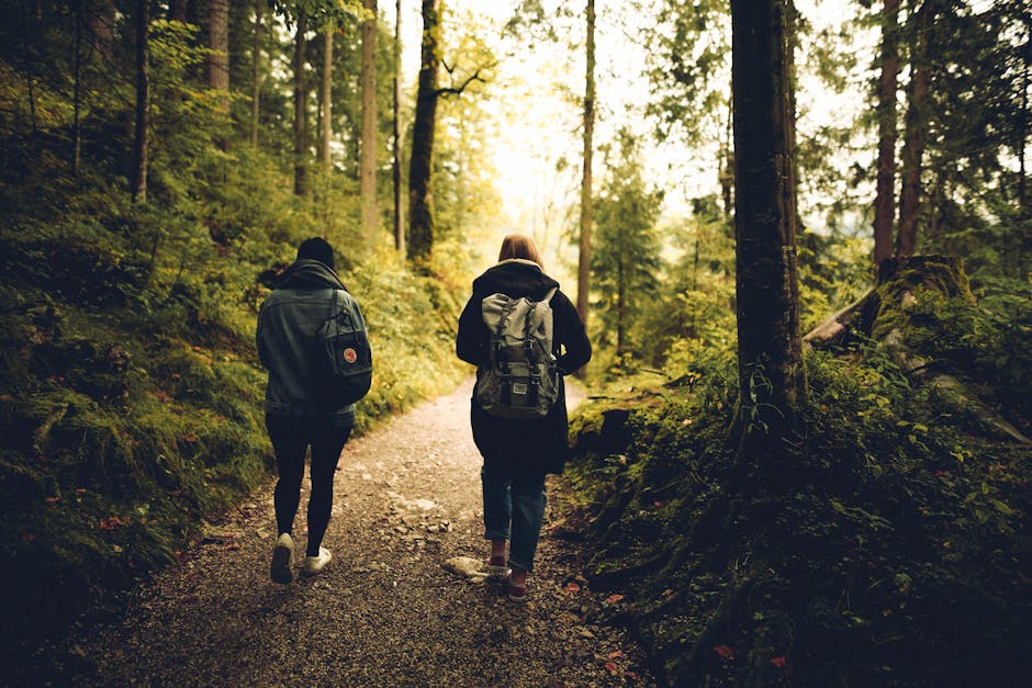 People walking in a peaceful forest