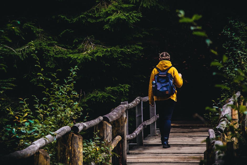 person walking in forest path