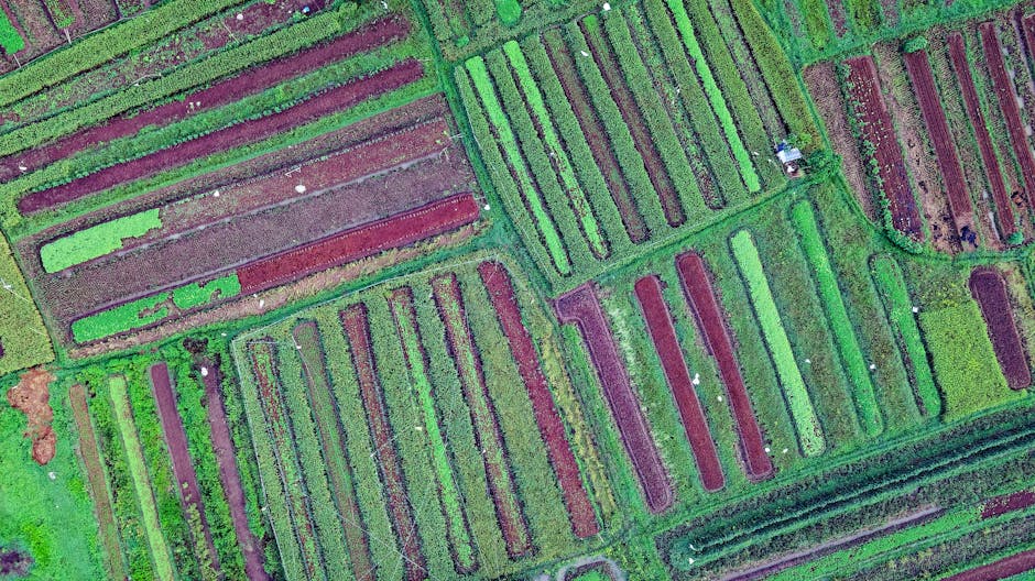 Satellite image of agricultural fields with data overlay