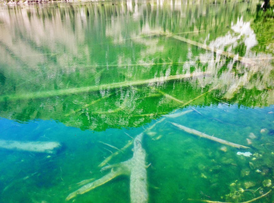 Shaatsk lakes clear water