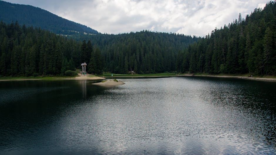 Synevyr lake autumn forest