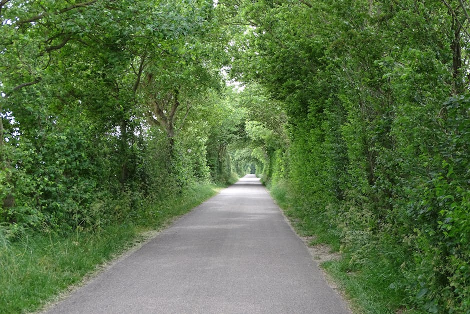 Tunnel of Love Ukraine forest