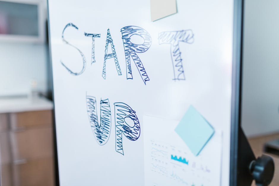 Venture capital pitch to investors