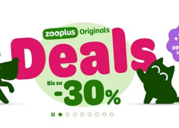 From Pet Nutrition To Everyday Care: Discover Everything Your Pet Needs With Zooplus