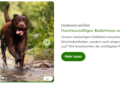 Give Your Pets the Best with Zooplus Quality Products