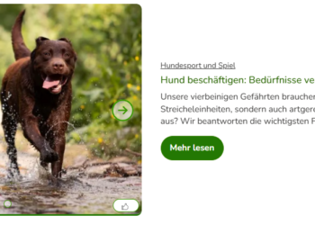 Give Your Pets the Best with Zooplus Quality Products