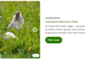 Zooplus  Everything You Need for Happy and Healthy Pets