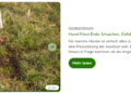 Zooplus  Making Pet Care Simple, Affordable, and Convenient Online