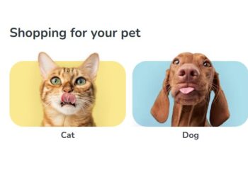 How Zooplus Helps Pet Owners Save Time And Money While Providing The Best Care For Their Beloved Animals