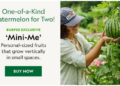 Discover Quality Seeds, Plants, and Gardening Essentials Burpee