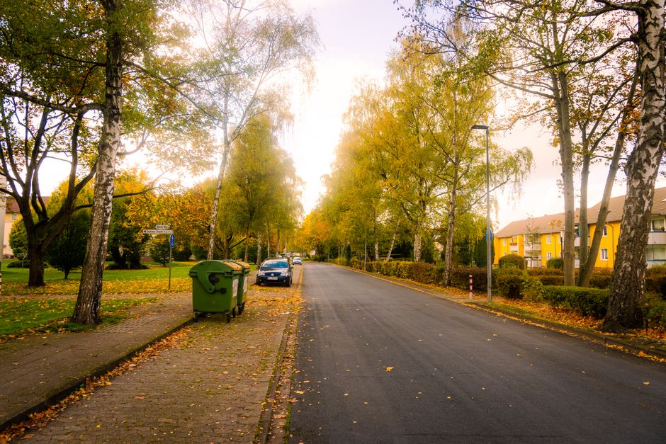 Una strada acciottolata in una città europea decorata con foglie autunnali, quasi deserta.