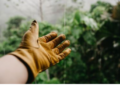 Discover Trusted Local Services and Professionals with Bark