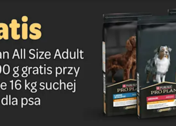Odkryj Karmy I Akcesoria Dla Zwierząt Z Zooplus I Zadbaj O Swojego Pupila